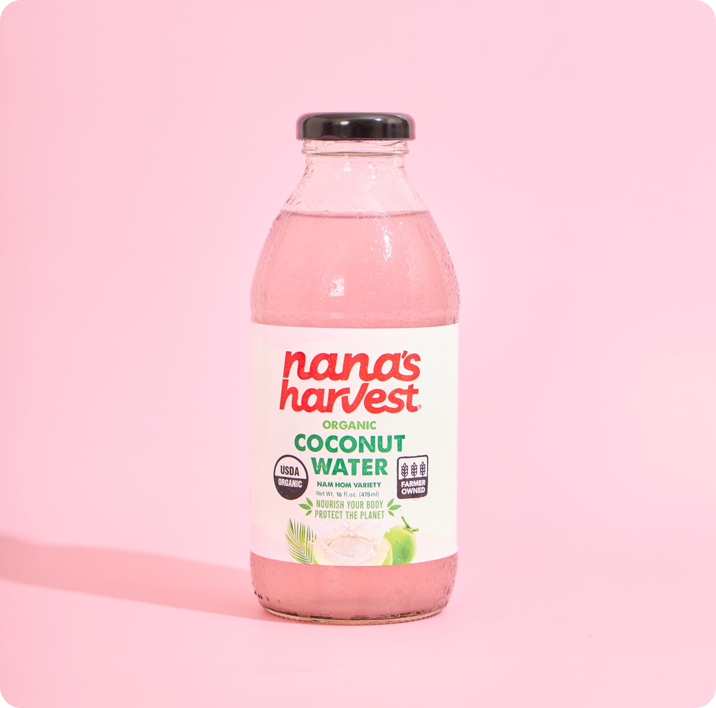 ORGANIC COCONUT WATER 16oz